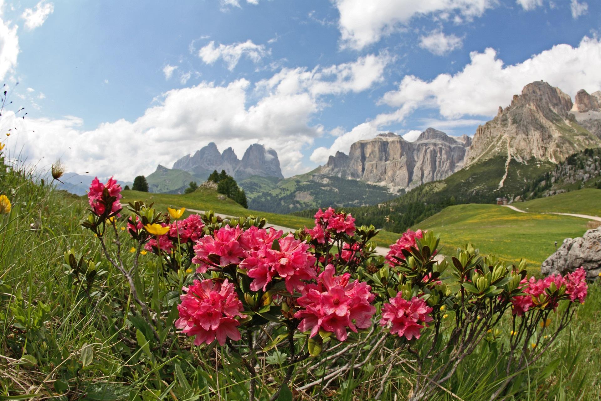 Estate in Val di Fassa