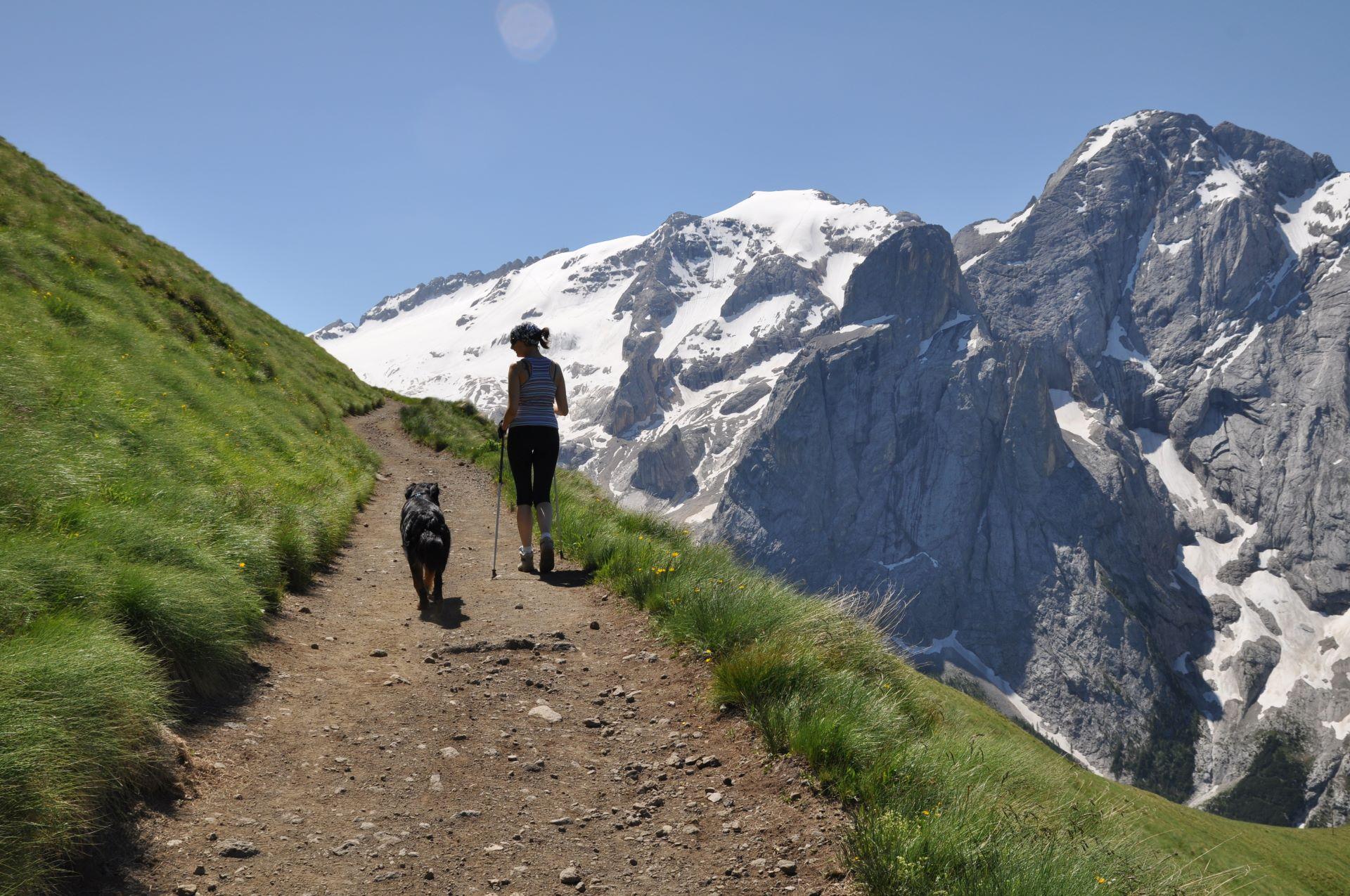 Holidays with dog Val di Fassa