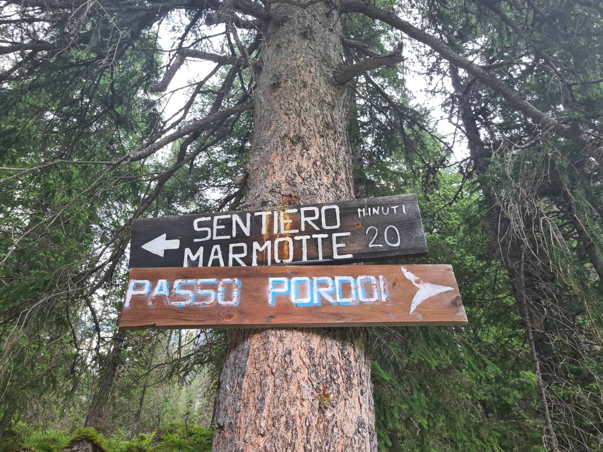 Sentiero delle marmotte al Passo Sella