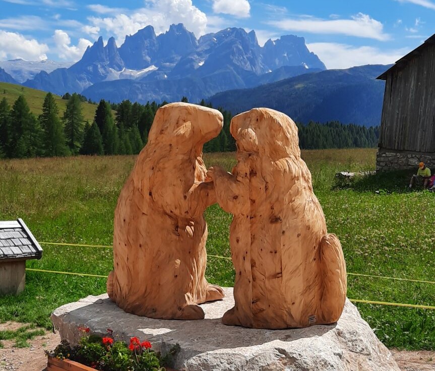 How and where to see marmots in the Val di Fassa