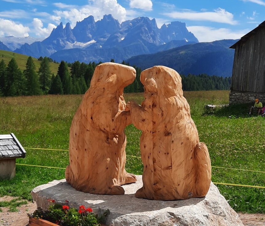 Verliebte Murmeltiere auf der Fuciade-Hütte