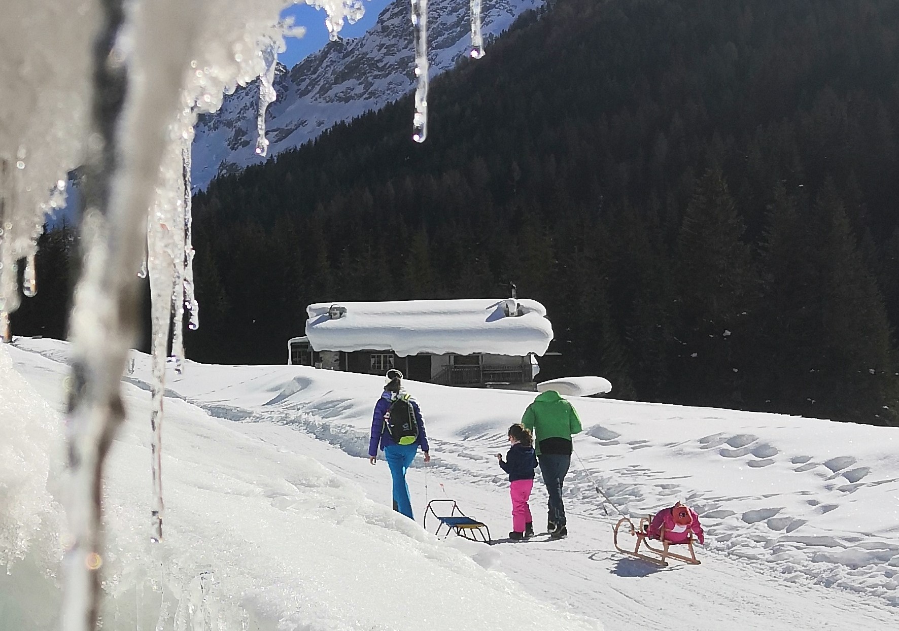 Walks and sledges for non-skiers in Val di Fassa